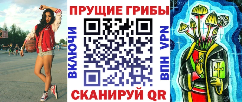 что такое   Каспийск  Галлюциногенные грибы Cubensis 