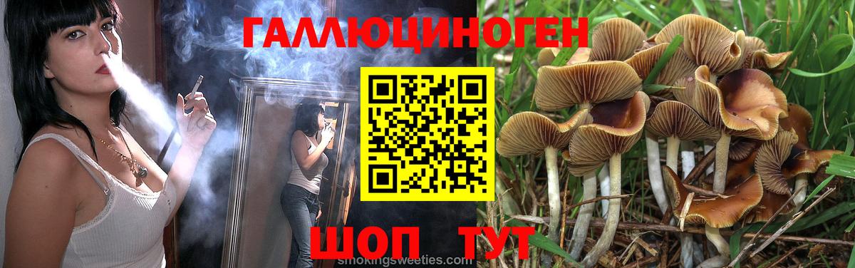 купить наркотики цена  Галлюциногенные грибы MAGIC MUSHROOMS  Вход с VPN  Каспийск 