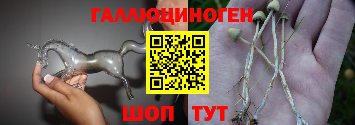 Псилоцибиновые грибы мухоморы Каспийск